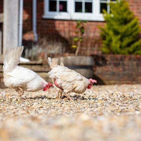 Langford Farmhouse - New Forest National Park Luxury 4Bd, Hot Tub, Cinema, 10 Acres Bartley ภายนอก รูปภาพ